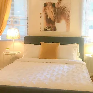 https://the-panther-walk-score-93-smarttv.topanaheimhotels.com
